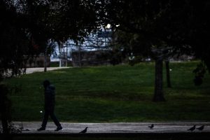 No dan con el paradero: Persisten las búsquedas por otros dos involucrados en violación de mujer en Parque Los Reyes