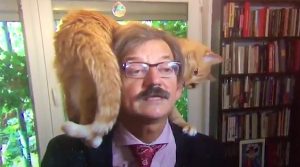 VIDEO| Gato saltó a la fama y arruinó la entrevista de un politólogo polaco anticomunista