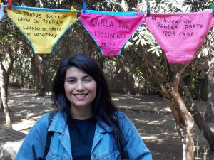 Karla Toro, nueva presidenta de la Fech: "No nos hicimos cargo de la movilización feminista porque nos desbordó"
