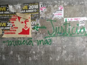 "Merecía más": Prima de Nicole Saavedra denuncia destrucción de afiches y mensaje lesbofóbico en El Melón