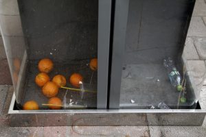 FOTOS| Las naranjas que instaló el gobierno para enchular La Moneda terminaron en la basura