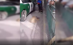 Indignante: Denuncian que carabinero asesinó a un perro en medio de un procedimiento policial en Quilicura