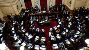 No fueron escuchadas: Senado argentino rechaza aborto legal tras 16 horas de debate