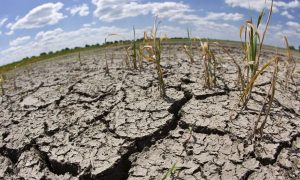 Greenpeace asegura que en 2040 Chile vivirá la misma escasez hídrica que países africanos