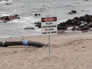"Ruta de la caca": Catalina Pérez criticó en el Congreso el vertimiento de aguas servidas en Antofagasta