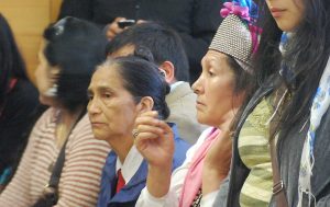Juana Calfunao interpondrá acciones legales contra Carabineros tras ser detenida en su domicilio