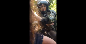 VIDEO| Denuncian violenta detención de Carabineros a estudiantes del Carmela Carvajal que se encontraban en Parque Forestal