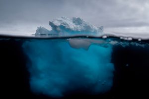 La Comisión del Océano Antártico le da la espalda a la Antártica: Rechazan construir el santuario más grande del mundo