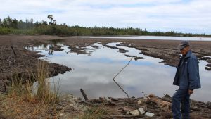 Laguna de Calbuco en peligro de secarse: Denuncian por abandono de deberes al intendente y seremi de Medio Ambiente