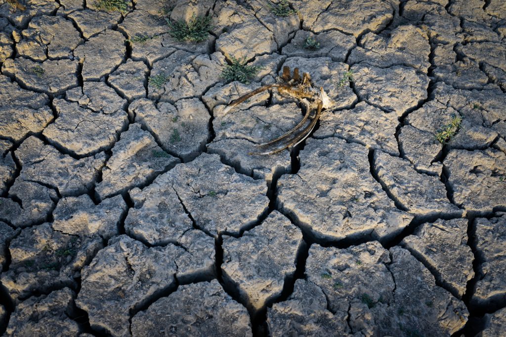 OPINIÓN | Escasez hídrica: desinformar también pone en riesgo la disponibilidad de agua