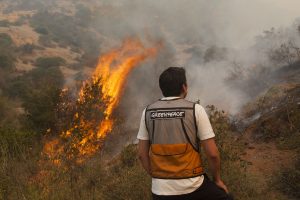 Greenpeace e incendios en Aysén: “El cambio climático actuará como nuevo combustible para la propagación de incendios en la Patagonia”