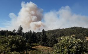 Alcalde de Cochrane apunta a las forestales por propagación de incendios: "Exigimos un plan de manejo de las plantaciones"