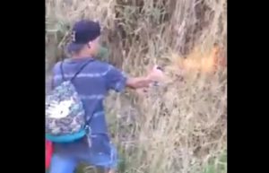 VIDEO| Jóvenes que se grabaron provocando incendio forestal en Coronel son detenidos y serán formalizados