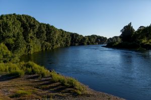 Nuevo femicidio: Encuentran sin vida el cuerpo de una joven en el río Contaco de Osorno
