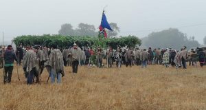 Comunidad mapuche se toma predio de agricultor que disparó a la bandera mapuche