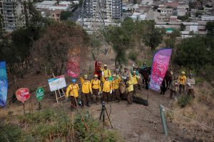 Minvu inicia campaña de reforestación en el cerro San Cristóbal con donación de 5 mil árboles de la Papelera Matte