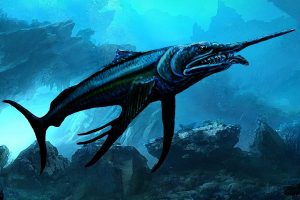 "Loancorhynchus Catrillancai": Paleontólogo chileno nombra a un prehistórico pez espada en honor a Camilo Catrillanca