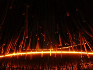 "La Luz del Cochayuyo": Instalación de 18 mil piezas de algas marinas iluminan el Parque Araucano