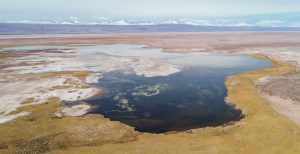 Laguna Tebenquiche en San Pedro de Atacama ahora es Santuario de la Naturaleza