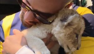 Maluma cierra su cuenta de Instagram tras ser acusado de maltrato animal