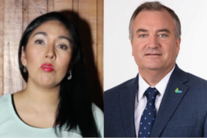 La denuncia pública de ex funcionaria mapuche contra diputado Andrés Molina por "acoso" y "amenazas"