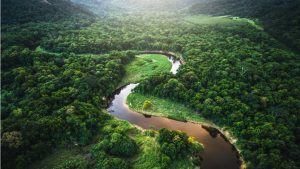Bolsonaro destruye la selva amazónica
