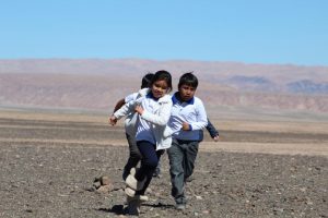 Inician arborización en poblados de San Pedro de Atacama