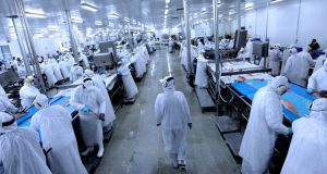 Landes cierra planta de jibia en Talcahuano y deja a 232 trabajadores cesantes