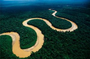 H&M suspende las compras de cuero a Brasil por los incendios en la Amazonía