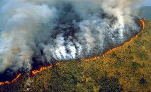 VIDEO| El registro que muestra el enorme incendio en el Amazonas que lleva 16 días