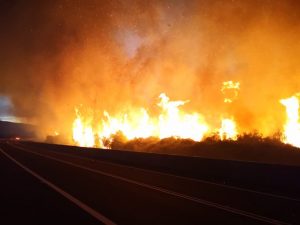 Intendencia de Valparaíso declara alerta roja para las comunas Catemu y Panquehue por incendio forestal