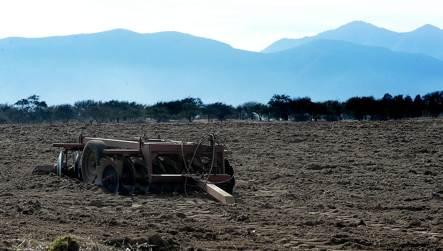 Día de Lucha contra la Desertificación y la Sequía: La Restauración de la naturaleza en la nueva Constitución