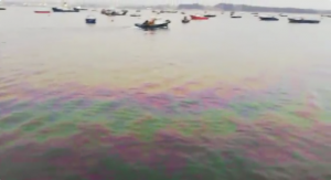 VIDEO| Pescadores de Quintero denuncian evidente contaminación del mar