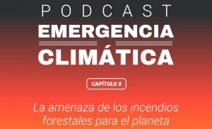 "La amenaza de los incendios forestales para el planeta": Escucha un nuevo capítulo de "Emergencia Climática", el podcast de El Desconcierto