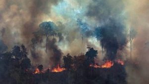 Amazonas: escribir lo que nos quema
