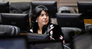 Comisión de Mujer del Senado ingresa proyecto para que sea la administradora del Fondo de Cesantía quien garantice el pago de pensiones de alimentos