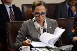 Ministra Plá niega violencia sexual en detenciones de agentes del Estado: "No hemos recibido denuncias de esa naturaleza"
