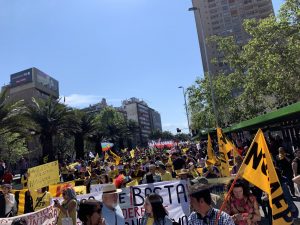 Ciudadanía se manifestó nuevamente en multitudinaria marcha por la consigna "NO+AFP"