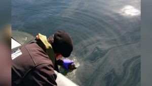 Nueva mancha en la bahía de Quintero activó protocolos de emergencia