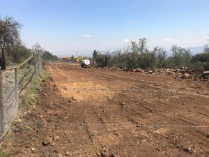 Denuncian que proyecto inmobiliario comenzó a destruir bosque esclerófilo cercano a la Quebrada de Macul