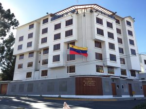 Embajadora de Venezuela en Bolivia denuncia ataque con dinamita a consulado tras renuncia de Evo Morales