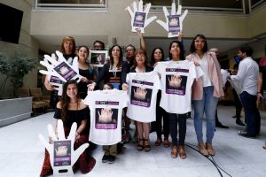 Cámara de Diputados aprobó "Ley Gabriela" que amplía el delito de femicidio