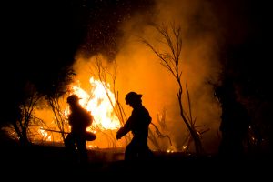 Australia: El modelo económico que potenció uno de los incendios más grandes de su historia y que Chile quiere seguir