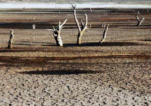 Triste y preocupante récord ad portas: Chile podría registrar este 2021 el año más seco de su historia