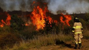 Onemi declara alerta roja en Temuco, Lumaco y Pitrufquén por incendios forestales