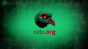 Abofem denuncia "nulos avances" en investigación del caso Nido.org: Ninguna víctima ha sido llamada a declarar