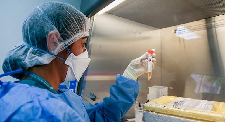 China detecta trazas de coronavirus en envoltorio externo de camarones de Ecuador