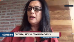 Carmen Romero en Comisión de Cultura: “Se requieren subvenciones urgentes para las artes y la cultura en esta emergencia”