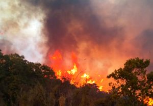 VIDEOS| Alerta Roja por gigantesco incendio forestal en Colliguay: 400 hectáreas de bosque nativo consumidas