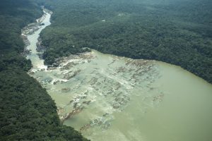 Día Internacional de los Bosques Tropicales: los impactos de una deforestación que nunca paró